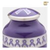 Awareness Collection - Adult Urn - Afbeelding 2